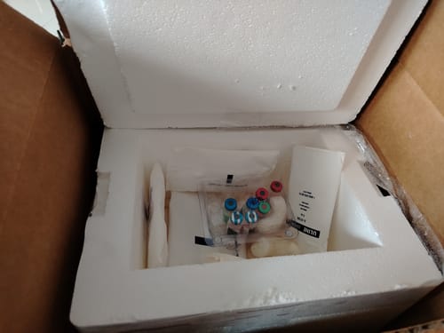 Customer photo review of Nobivac® Feline 2-FeLV