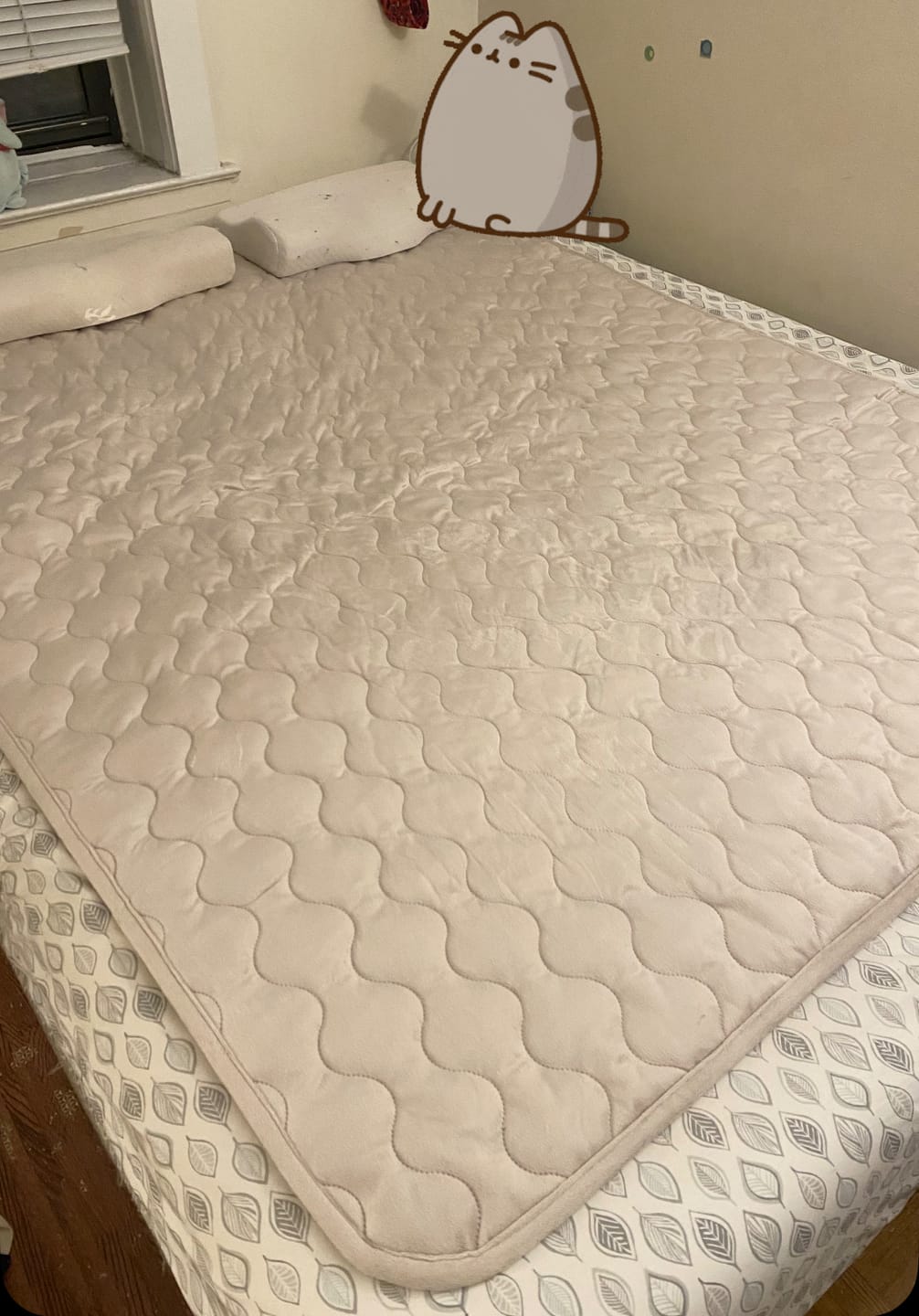Customer photo review of Heated Mattress Pad, EMF-Free