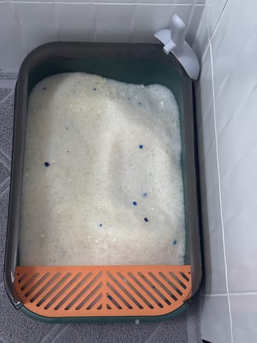 Customer photo review of 3 Month Supply - 1 Cat