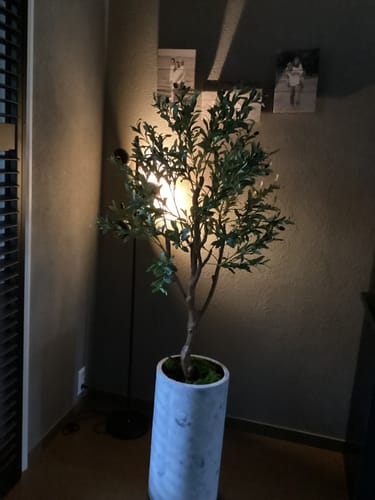 Customer photo review of Kunst Olijfboom 150cm
