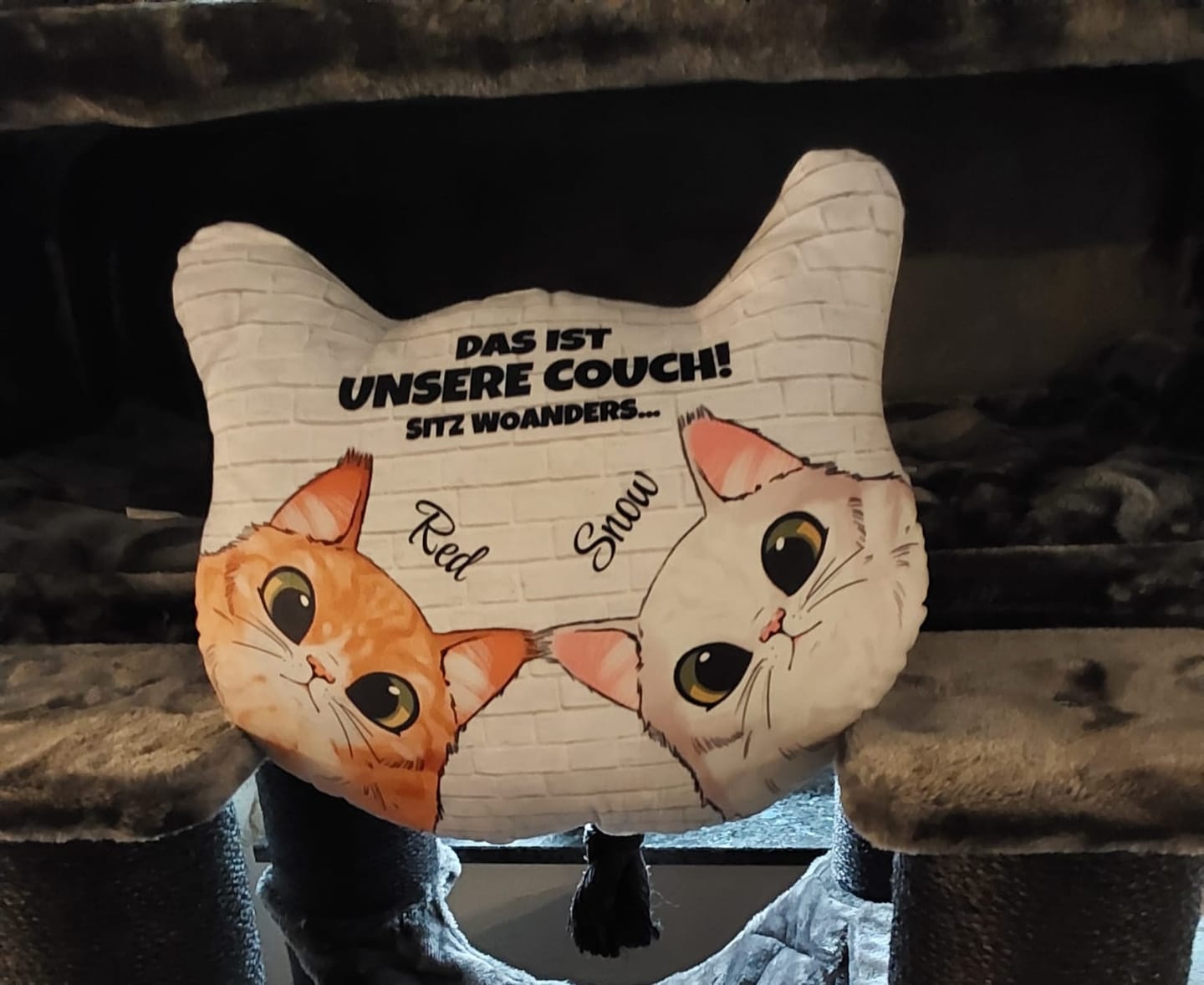 Customer photo review of Unsere Couch - Individuelles Formkissen