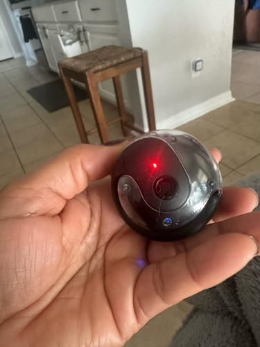 Customer photo review of TranslateBuds (iOS & Android)