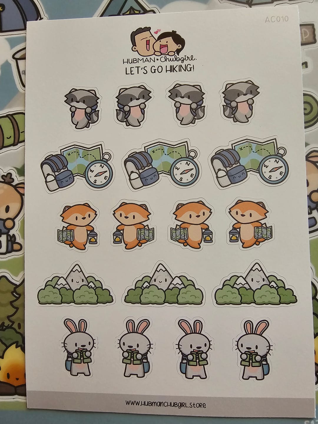 Customer photo review of Let's Go Hiking Planner Stickers