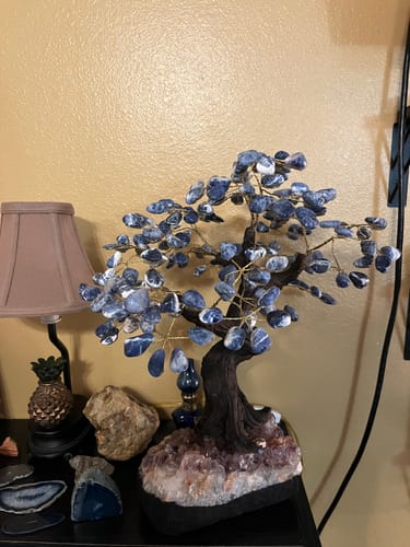 Customer photo review of Sodalite 14" Tall Handmade Gemstone Tree on a Crystal base, 180 Gems #5404SODA