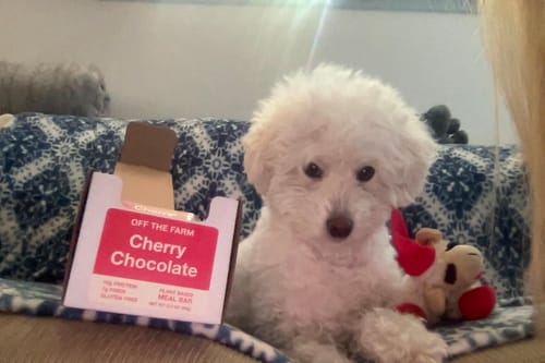 Customer photo review of Cherry Chocolate Meal Bar - Box of 12