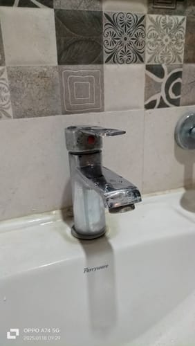 Customer photo review of Limescale Remover\Descaler - 500ML