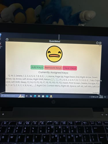 Customer photo review of QuackMod Software