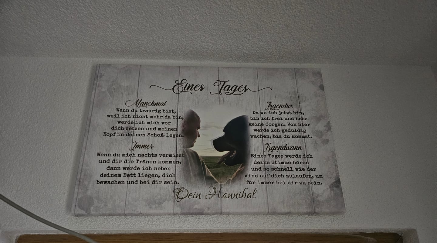 Customer photo review of Eines Tages - Individuelle Leinwand