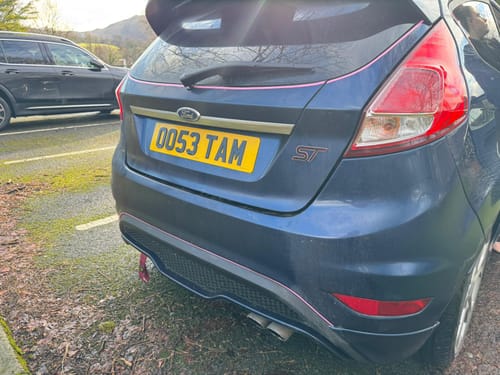 Customer photo review of ST Badge Plate