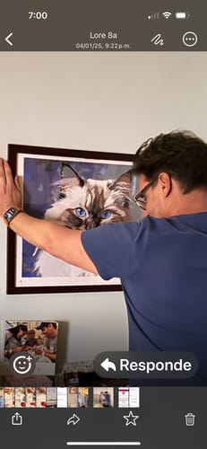 Customer photo review of Birman Cat No 2