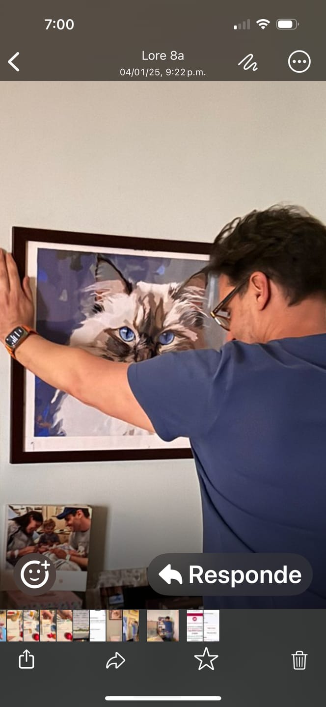 Customer photo review of Birman Cat No 2