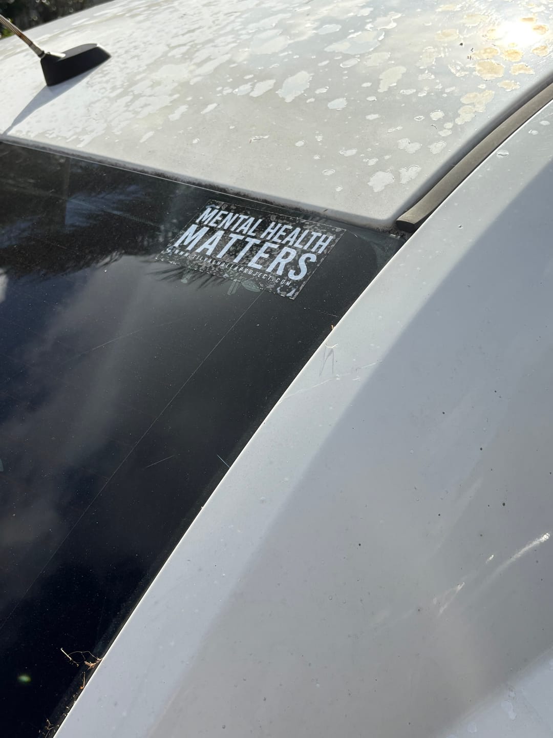 Customer photo review of Mental Health Awareness - Decal