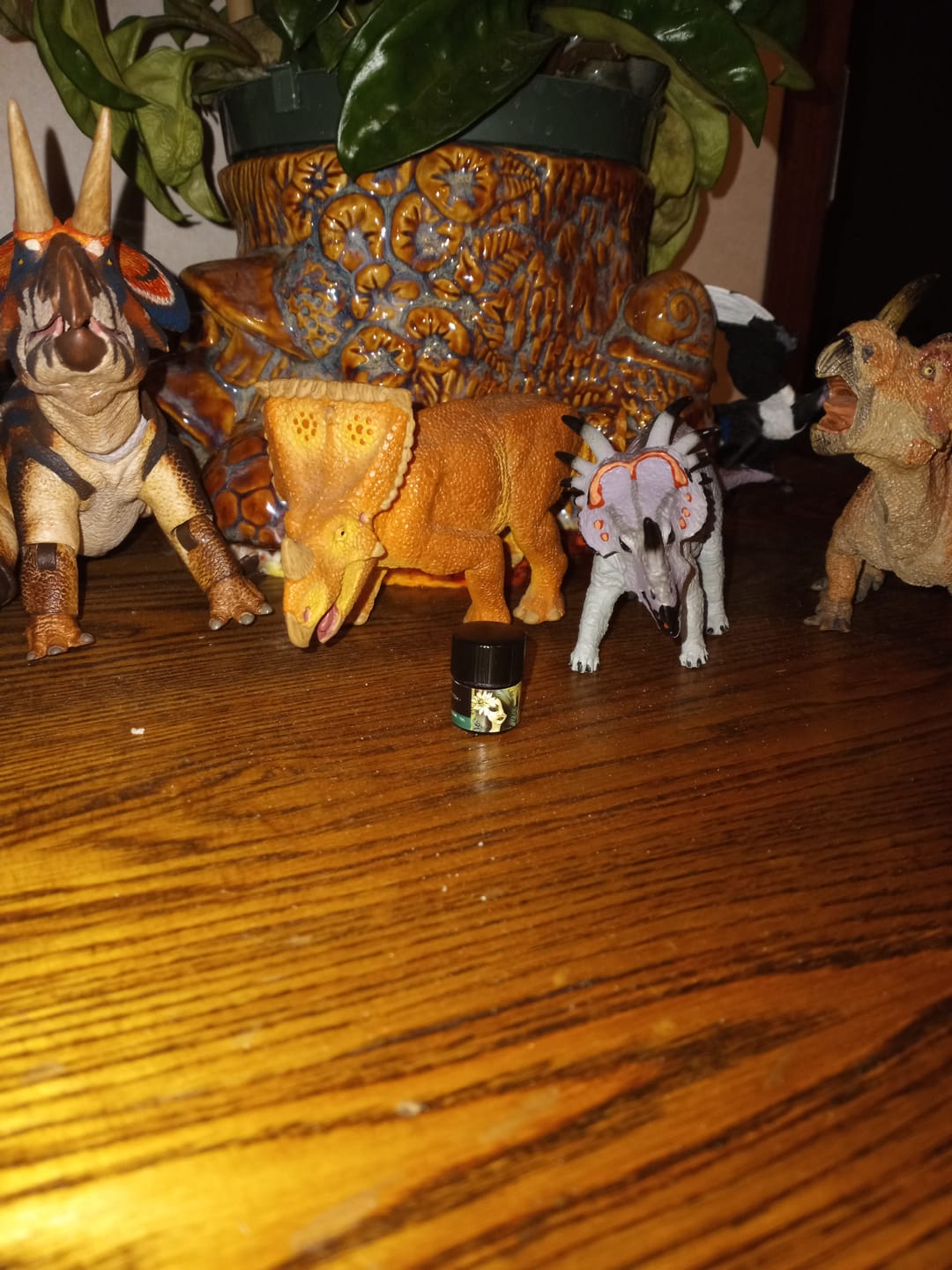 Customer photo review of Bog Witch