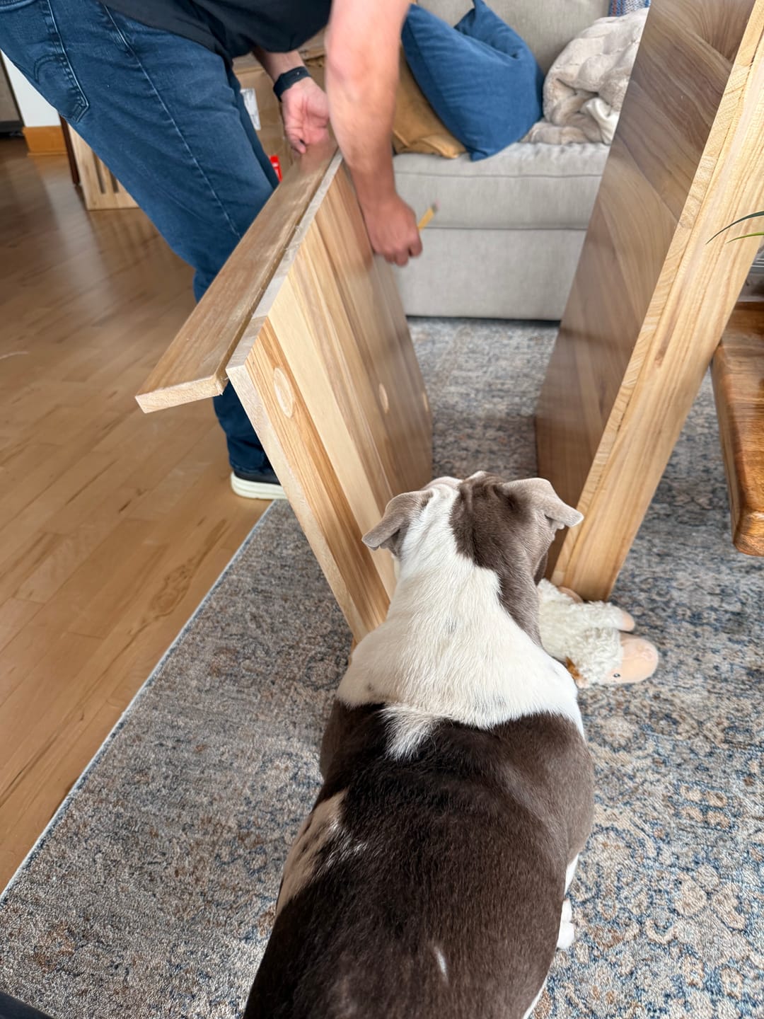 Customer photo review of Dog Crate
