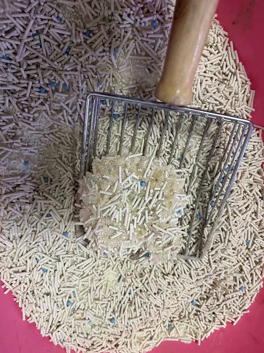 Customer photo review of 五吉貓 木薯科學貓砂 2.5KG