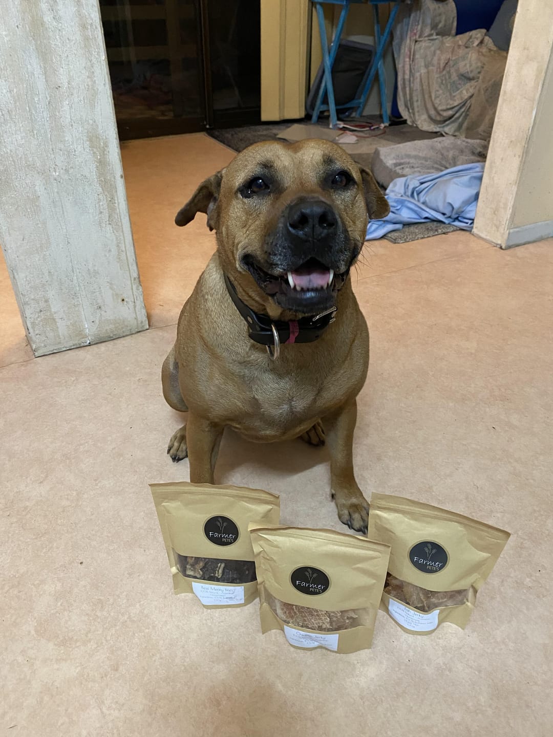 Customer photo review of Chicken Jerky