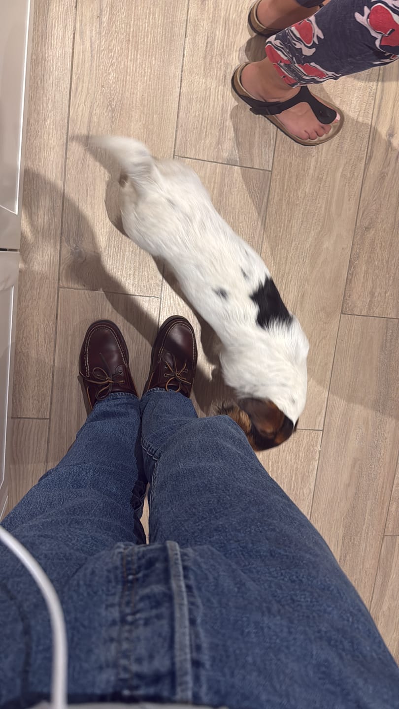 Customer photo review of Mocasines Timberland Classic Two Eye Marrón