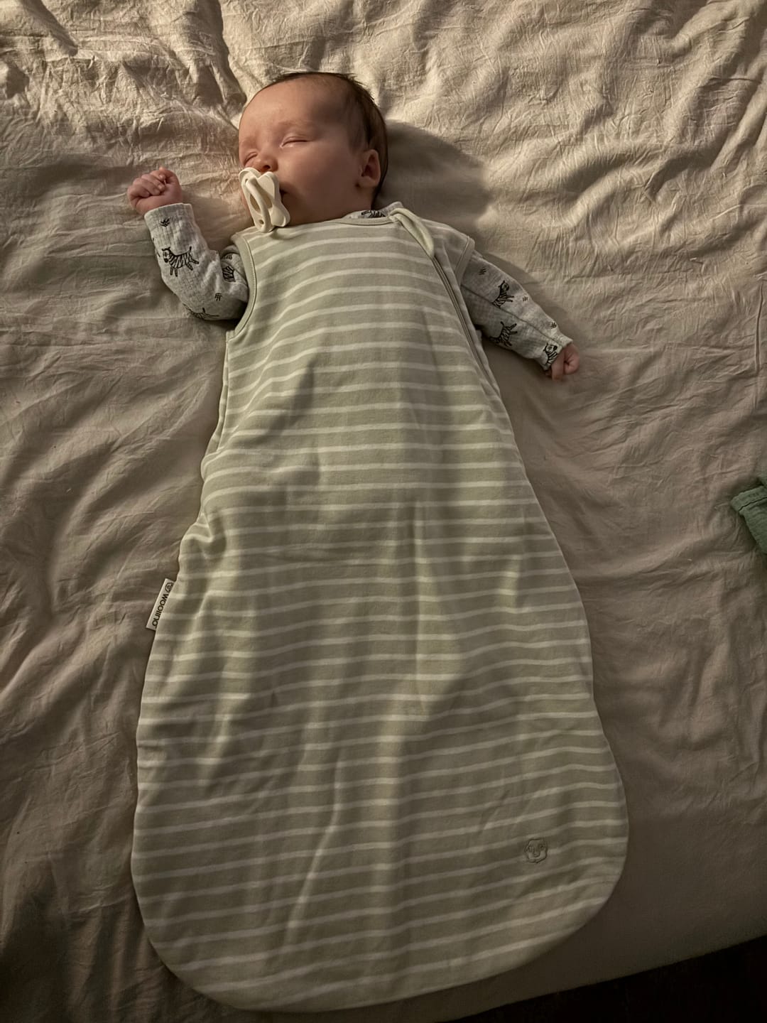 Customer photo review of 4 Season® Classic Baby Sleeping Bag, Merino Wool & Organic Cotton, Birch Gray
