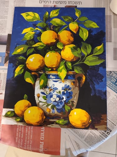 Customer photo review of צביעה לפי מספרים - PBN0039