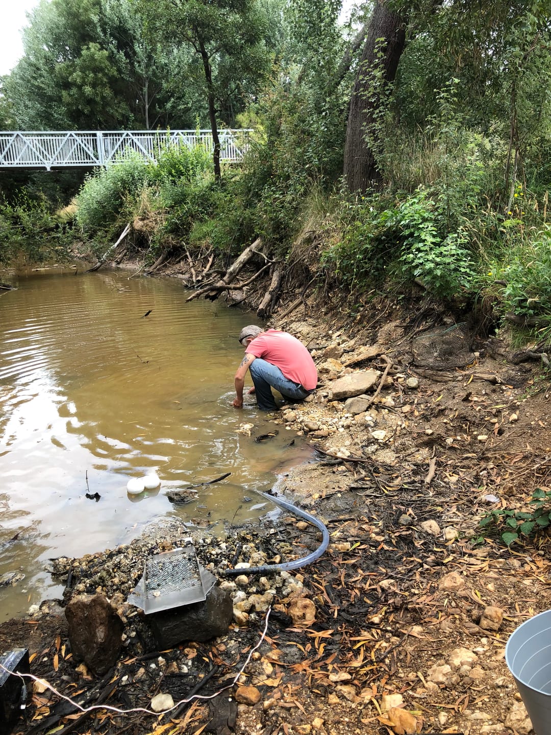 Customer photo review of Forward Classifying Gold Sluice Tray with perforated sheet