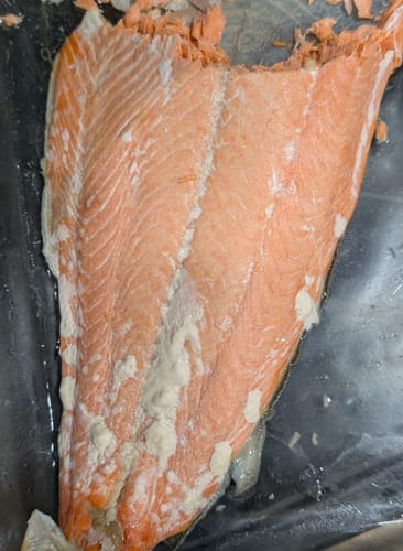 Customer photo review of Wild Caught Alaskan Sockeye Salmon Fillets