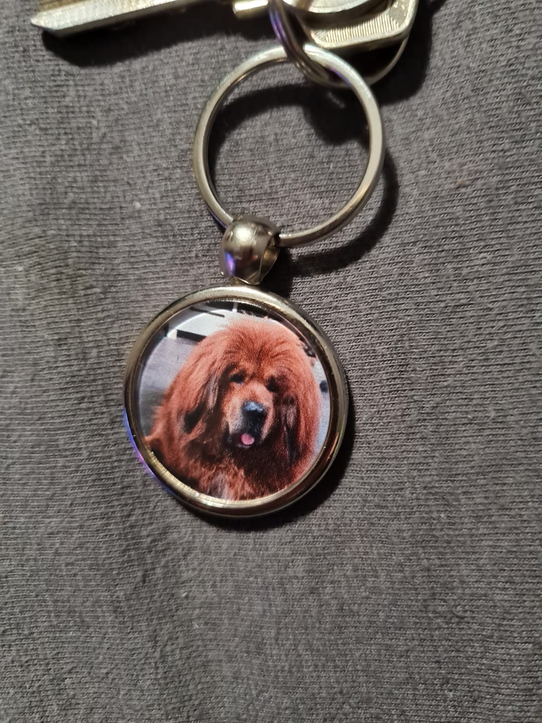 Customer photo review of Schlüsselanhänger mit Hundefoto