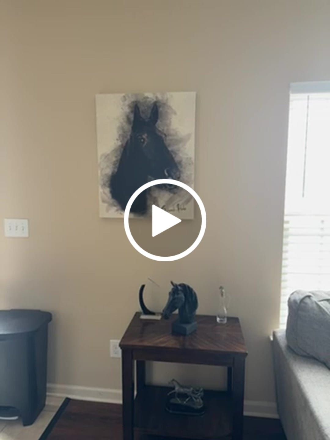 Customer video review of Personalized Horse portrait