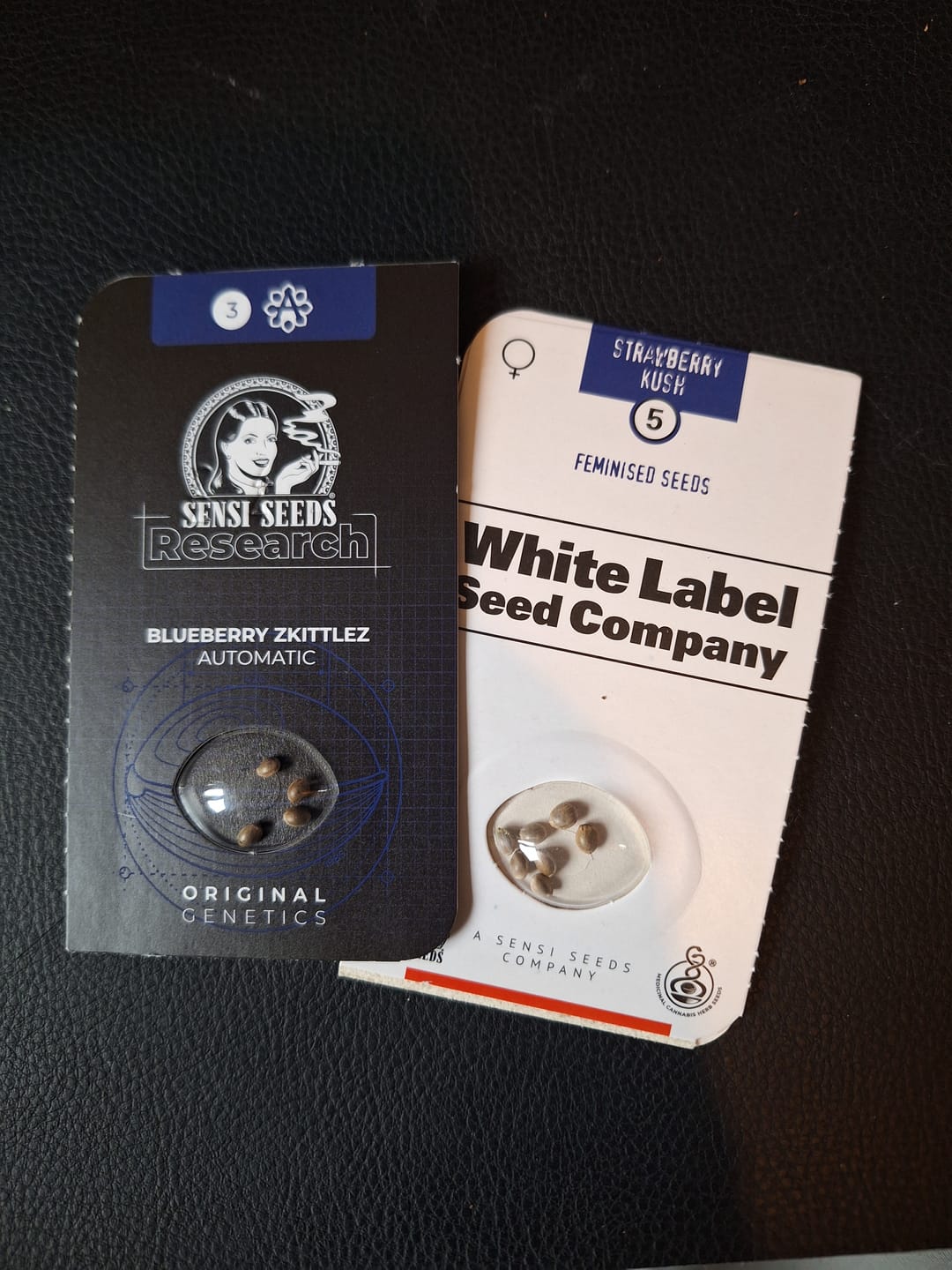 Customer photo review of Blueberry Skittlez 040 Cannabis Samen, Feminisierte Hybrid Samen ideal für Anfänger