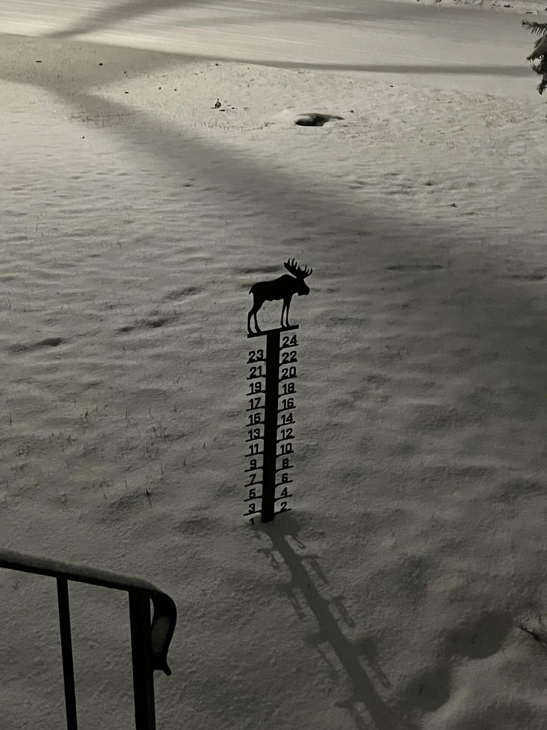 Customer photo review of Moose Snow Gauge