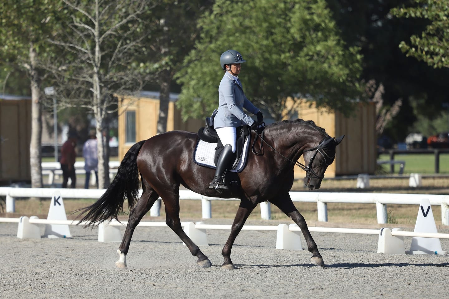 Customer photo review of Digestive VM - Equine Minerals & Vitamins