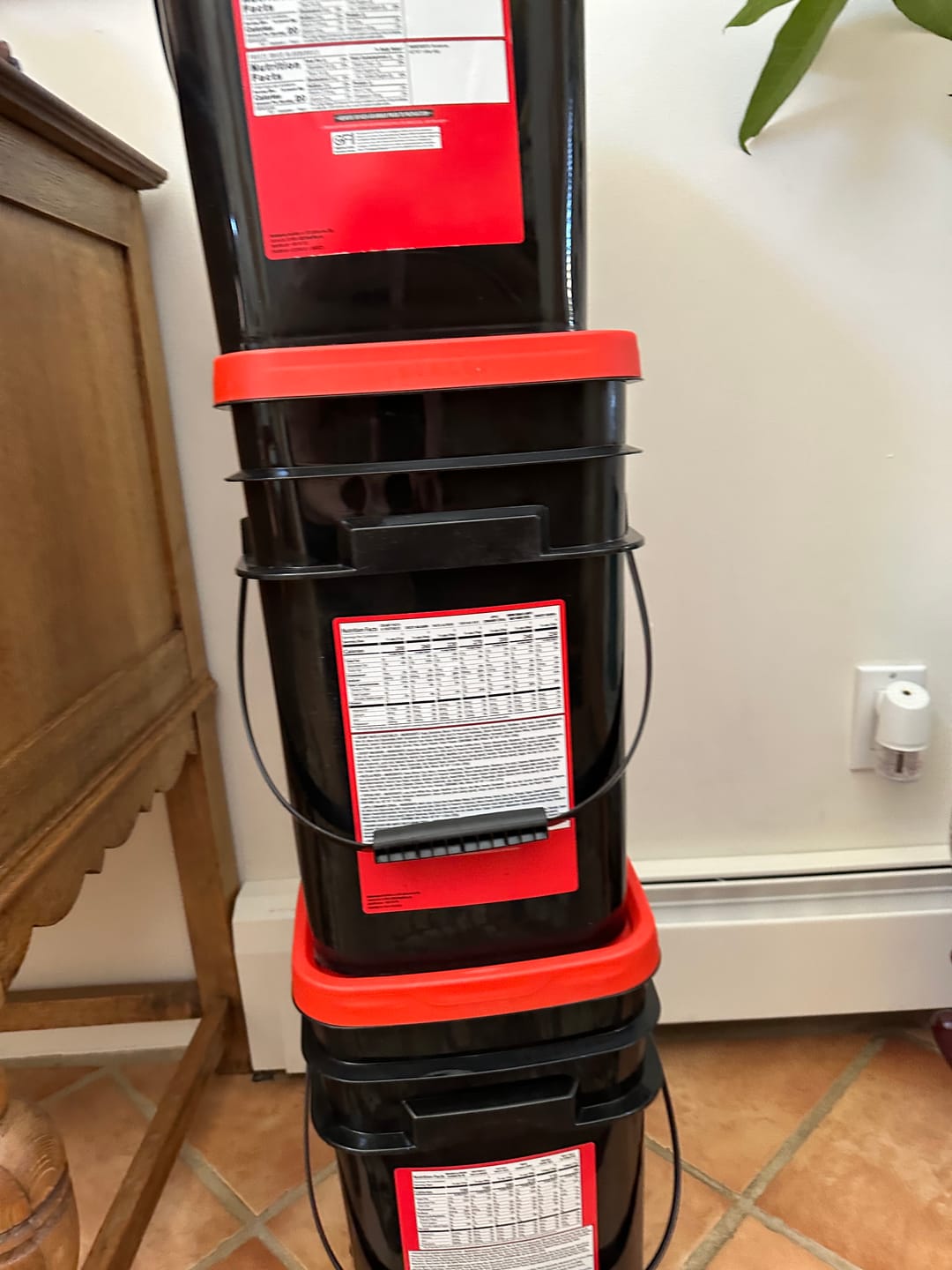Customer photo review of 120 Serving Freeze Dried Fruit Bucket