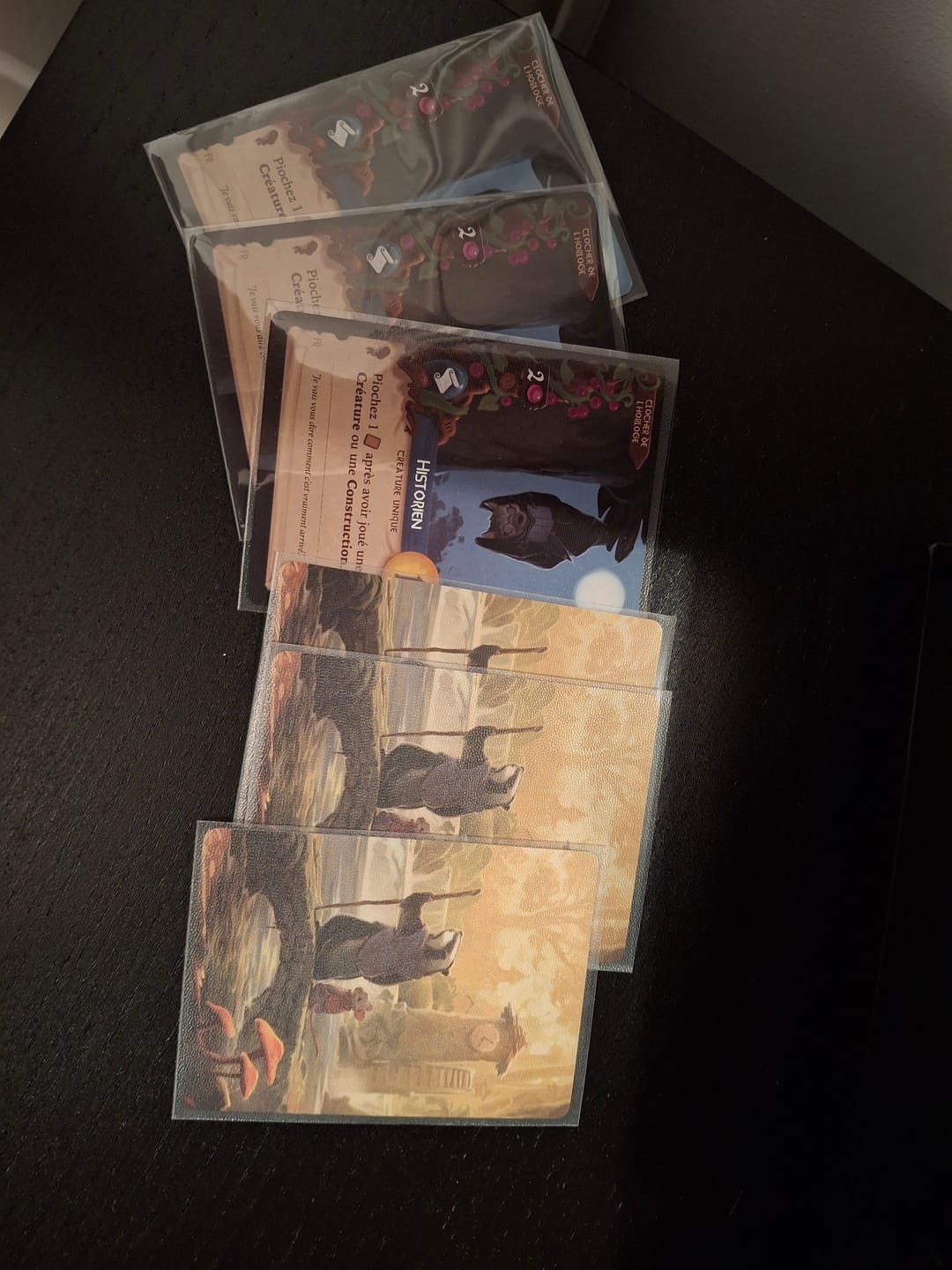 Customer photo review of Clear Matte Standard Size Card Sleeves