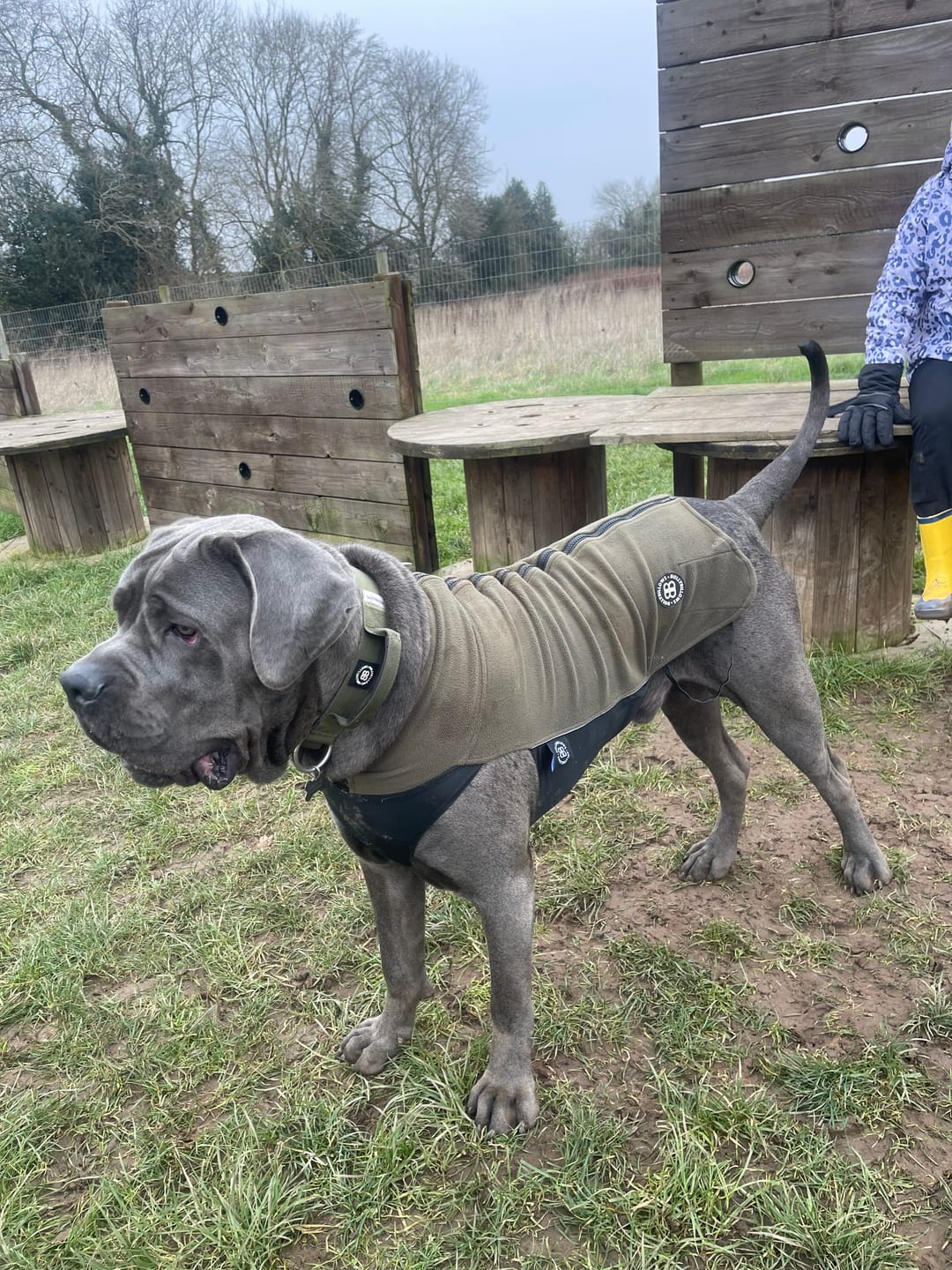 Customer photo review of Dog Fleece With Zip - Khaki