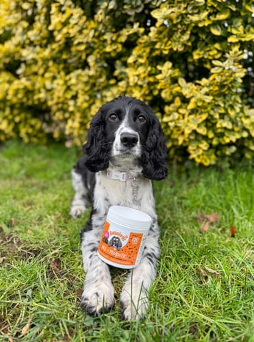 Customer photo review of Pre & Probiotic Supplement Chews for Dogs