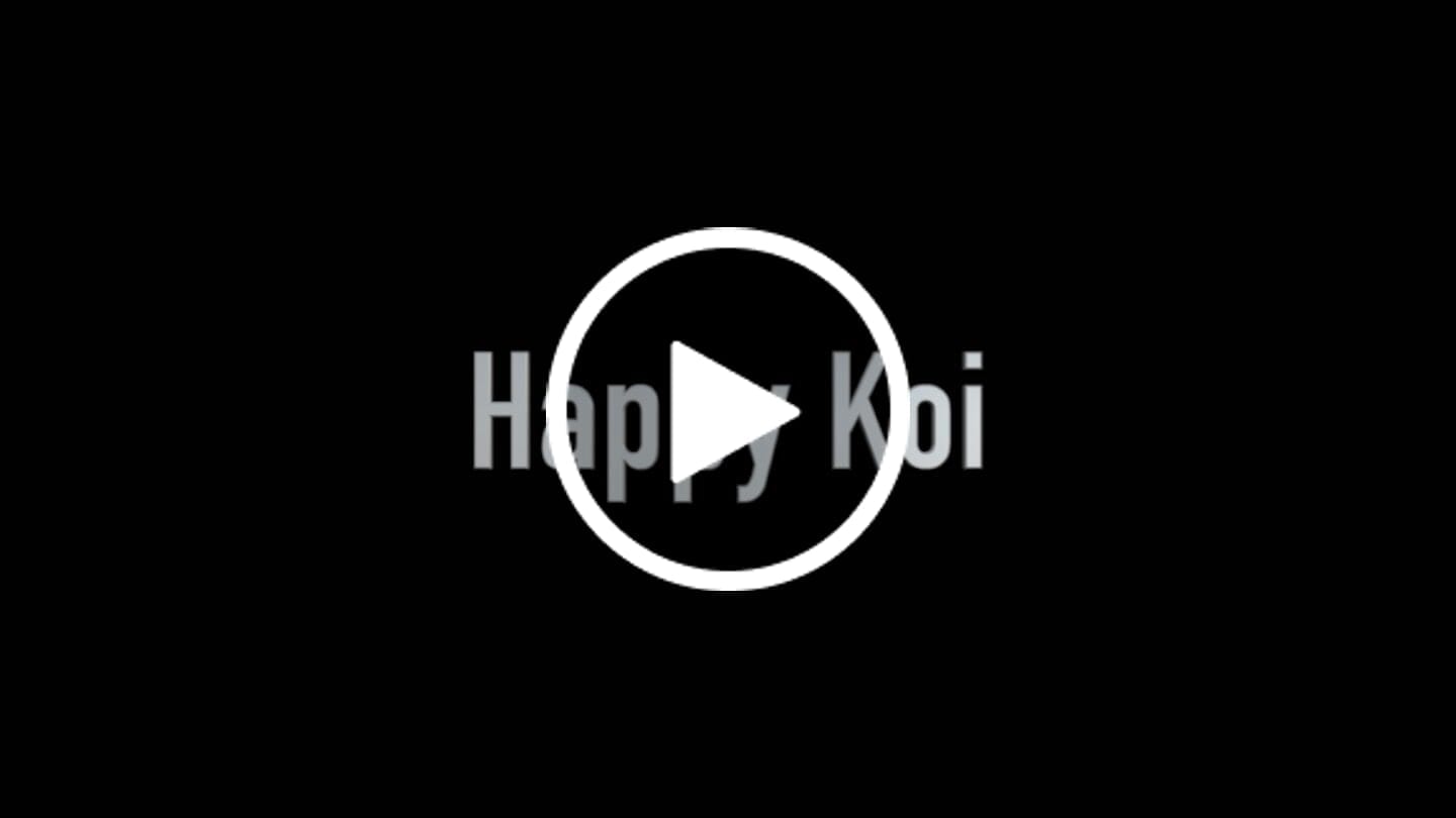 Customer video review of Submersible Pump 4,020 gph SH-4020
