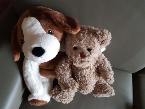 Customer photo review of Lotgenootje Hond 2kg