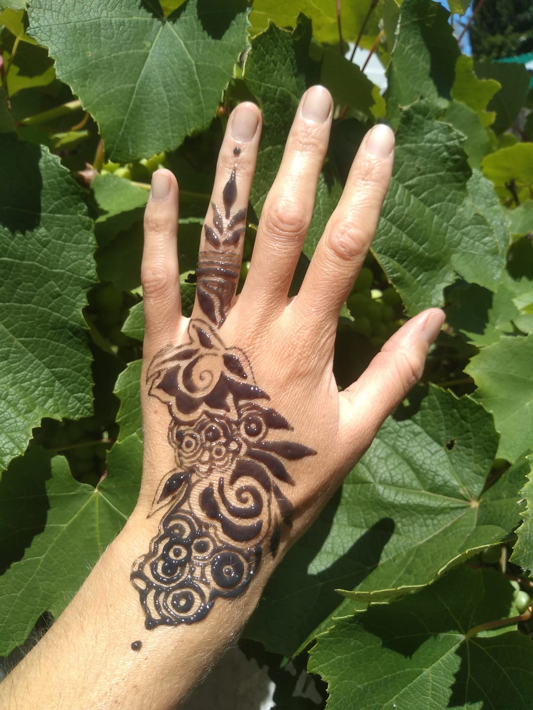 Customer photo review of JAGUA POWDER 300 g (3 bags per 100 g)