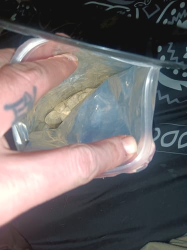 Customer photo review of Microdose Mushroom Gummies - 75% Off
