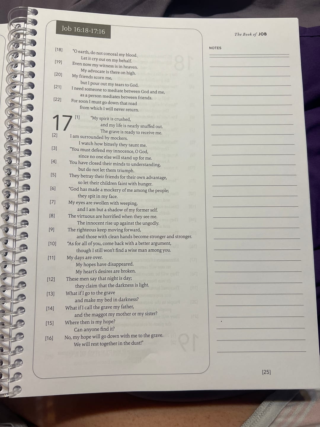Customer photo review of Spiral Bible™ Transparent Sticky Notes