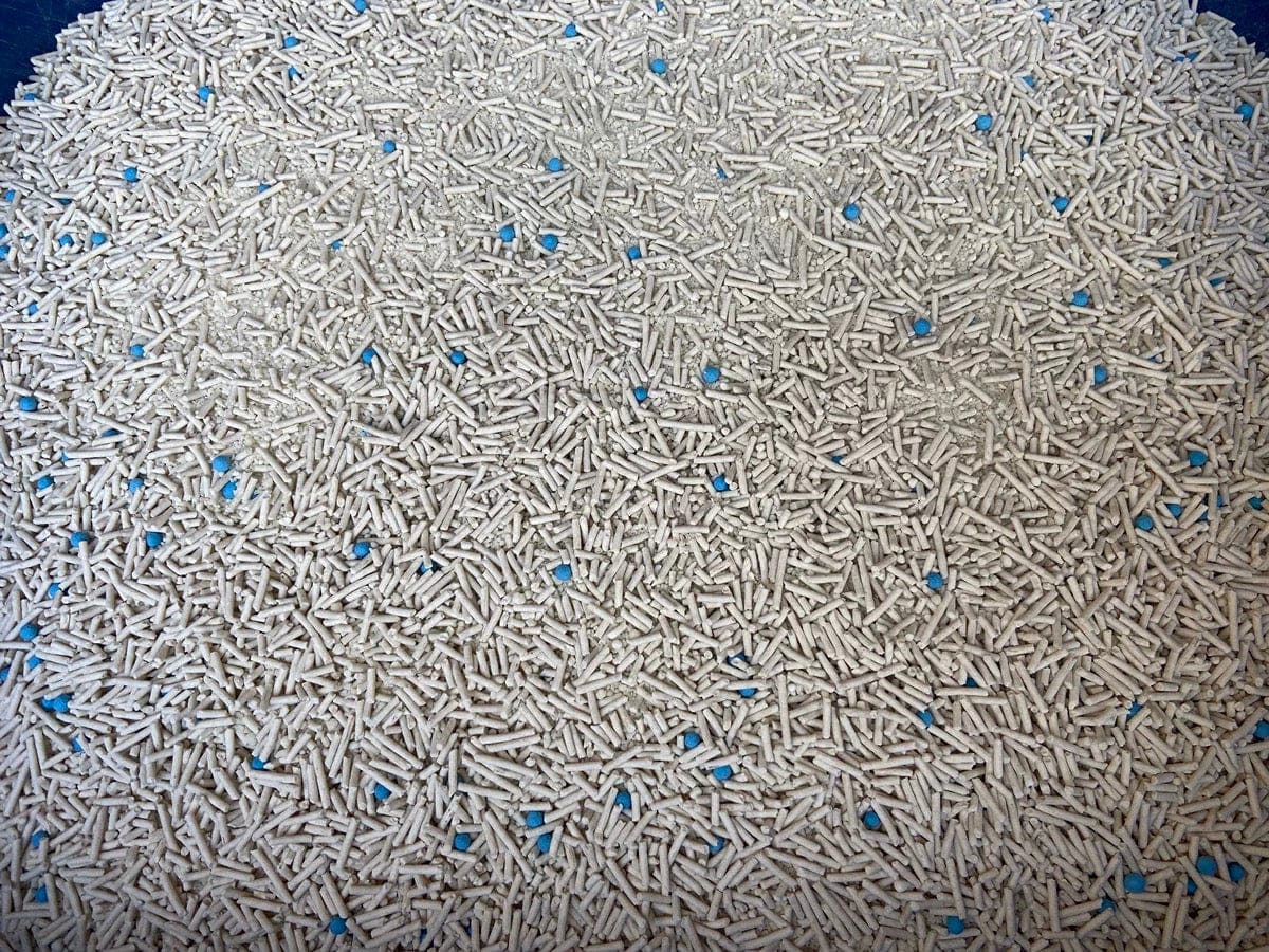 Customer photo review of 五吉貓 木薯科學貓砂 2.5KG