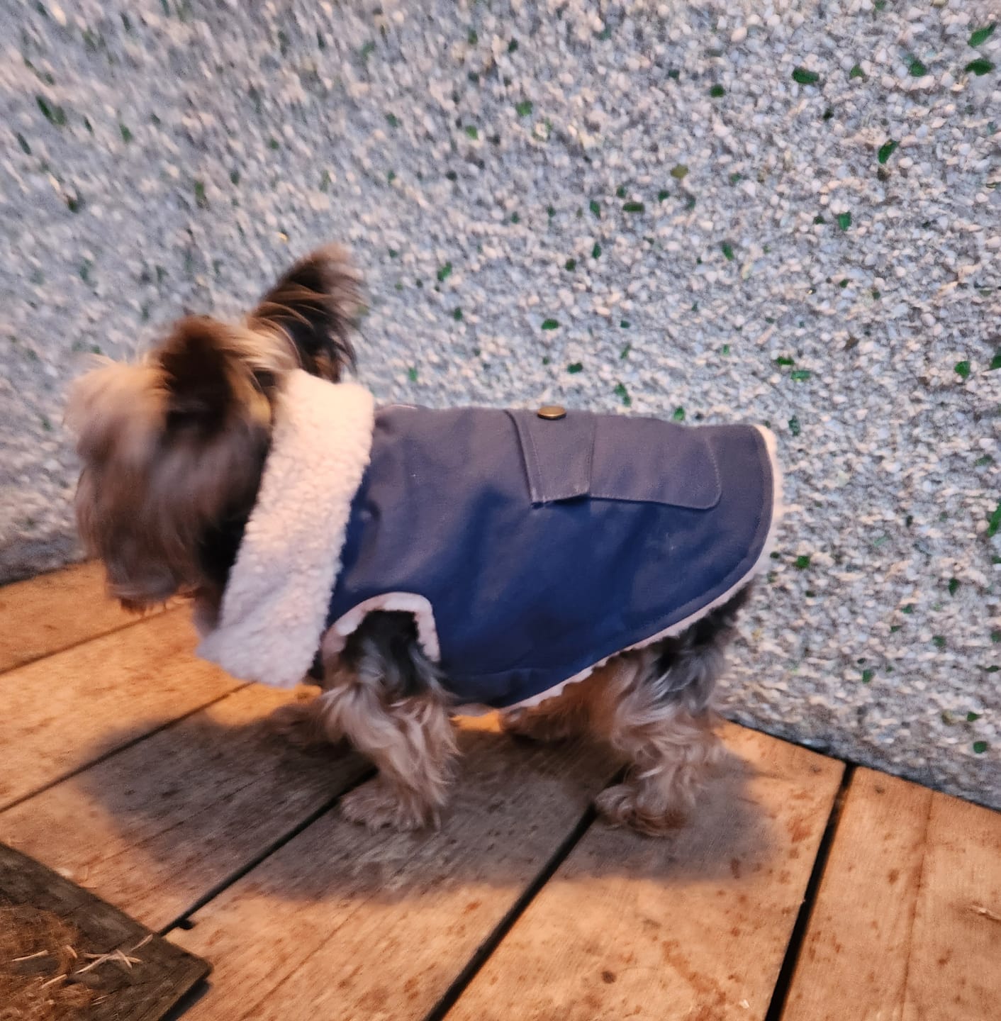 Customer photo review of Workdog Insulated Utility Jacket - Navy