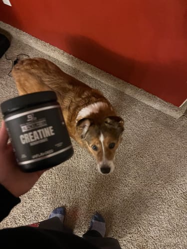 Customer photo review of CREATINE MONOHYDRATE