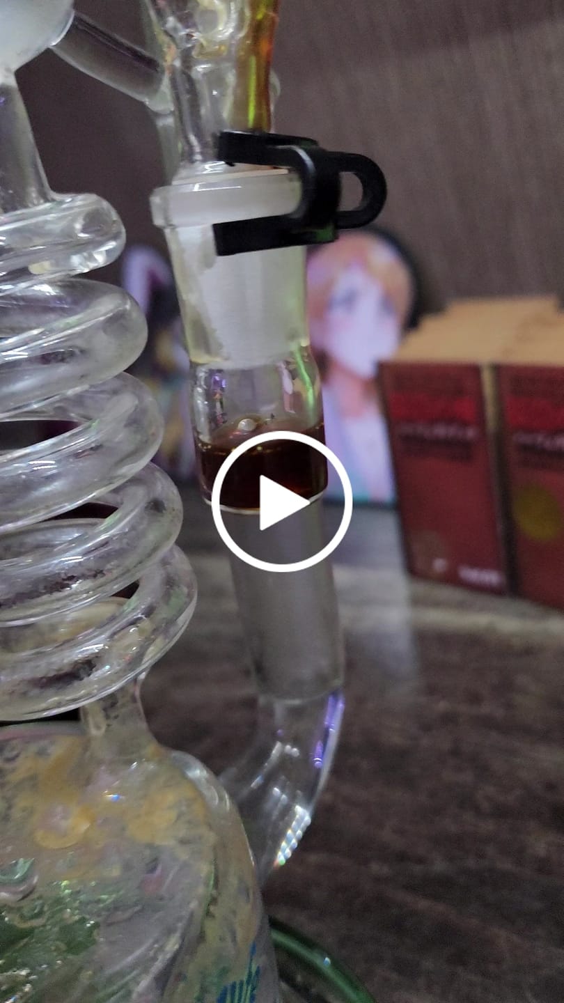 Customer video review of RECLAIM REPLACEMENT DISH