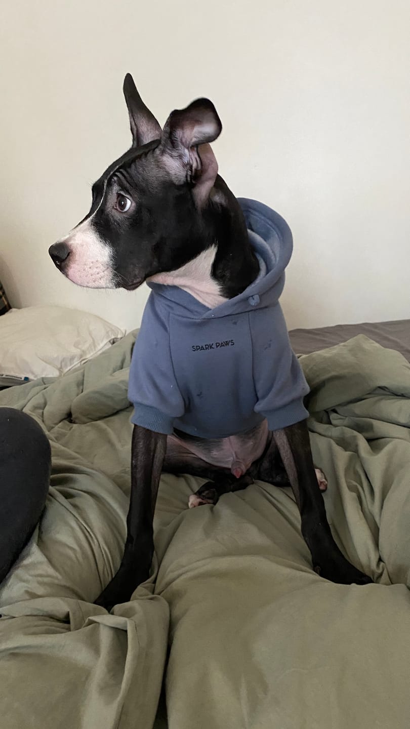 Customer photo review of WarmShield Water-Resistant Jacket - Black