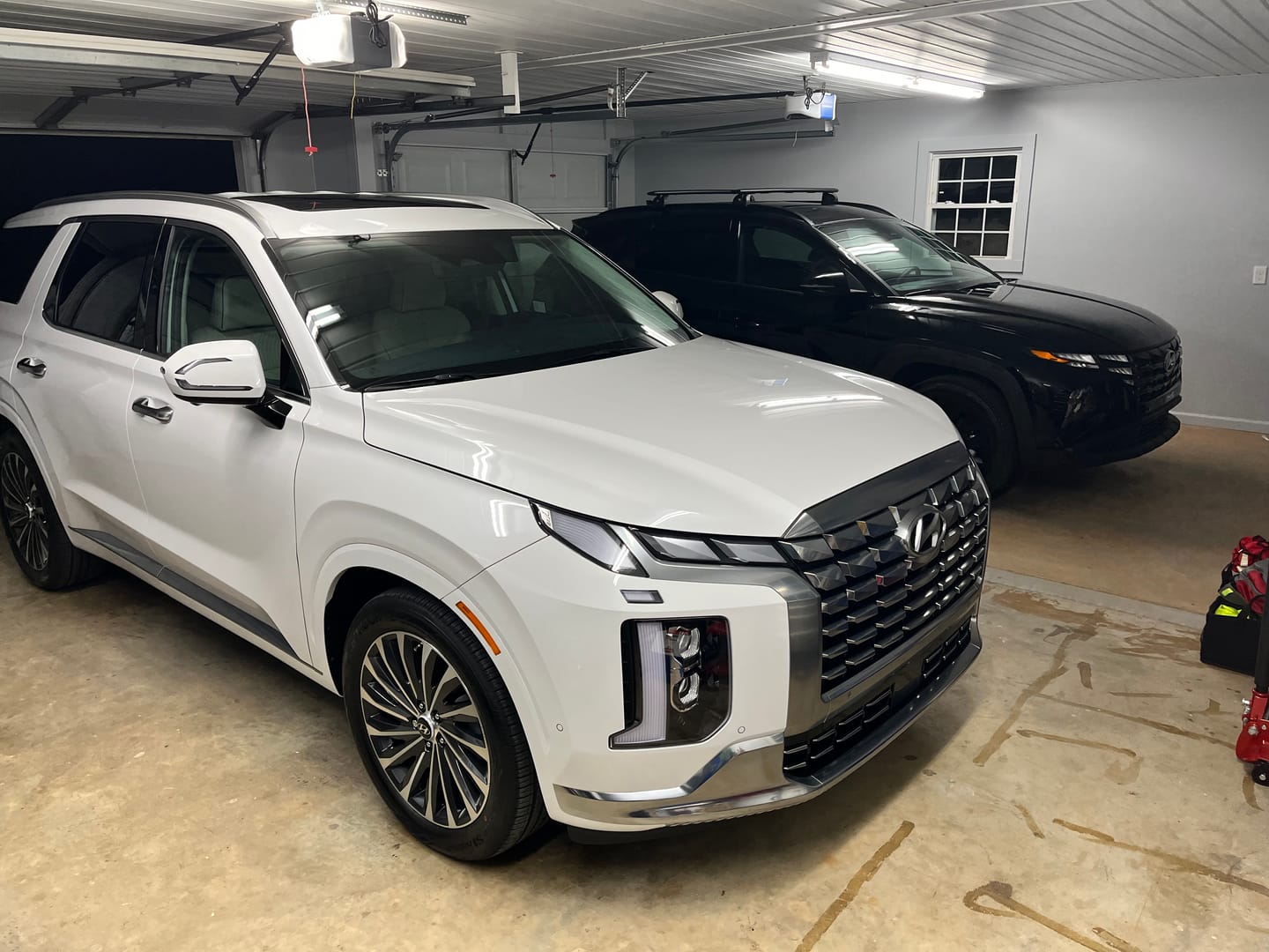 Customer photo review of PILOT - Interior Detailer