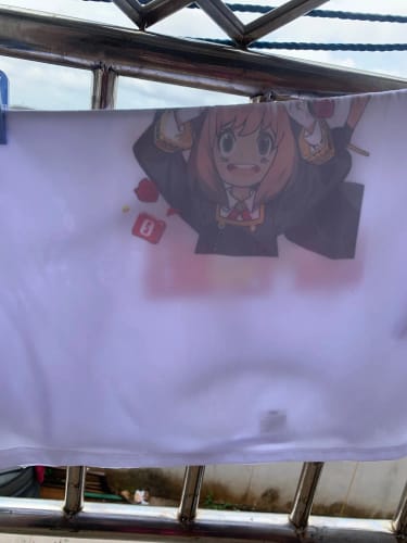 Customer photo review of Anime Spy X Family T-Shirt Harajuku Fashion Women’s Short Sleeve O-Neck