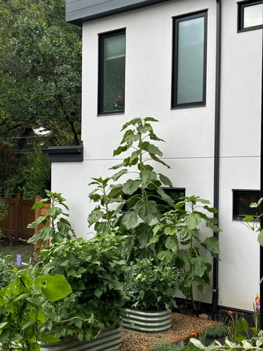 Customer photo review of 17” Tall Modular 9 in 1