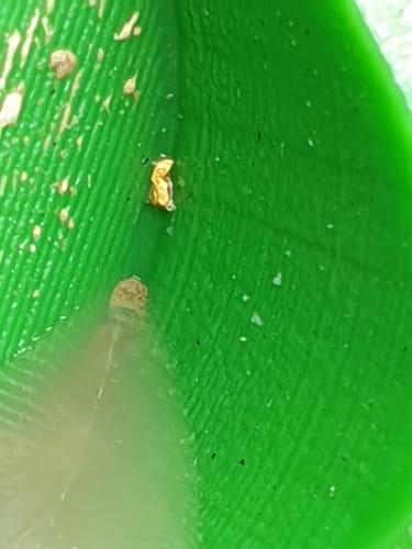 Customer photo review of 6X16" Micro Dream Mat