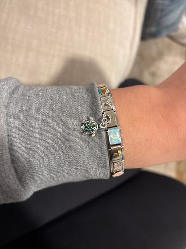 Customer photo review of Sea Turtle