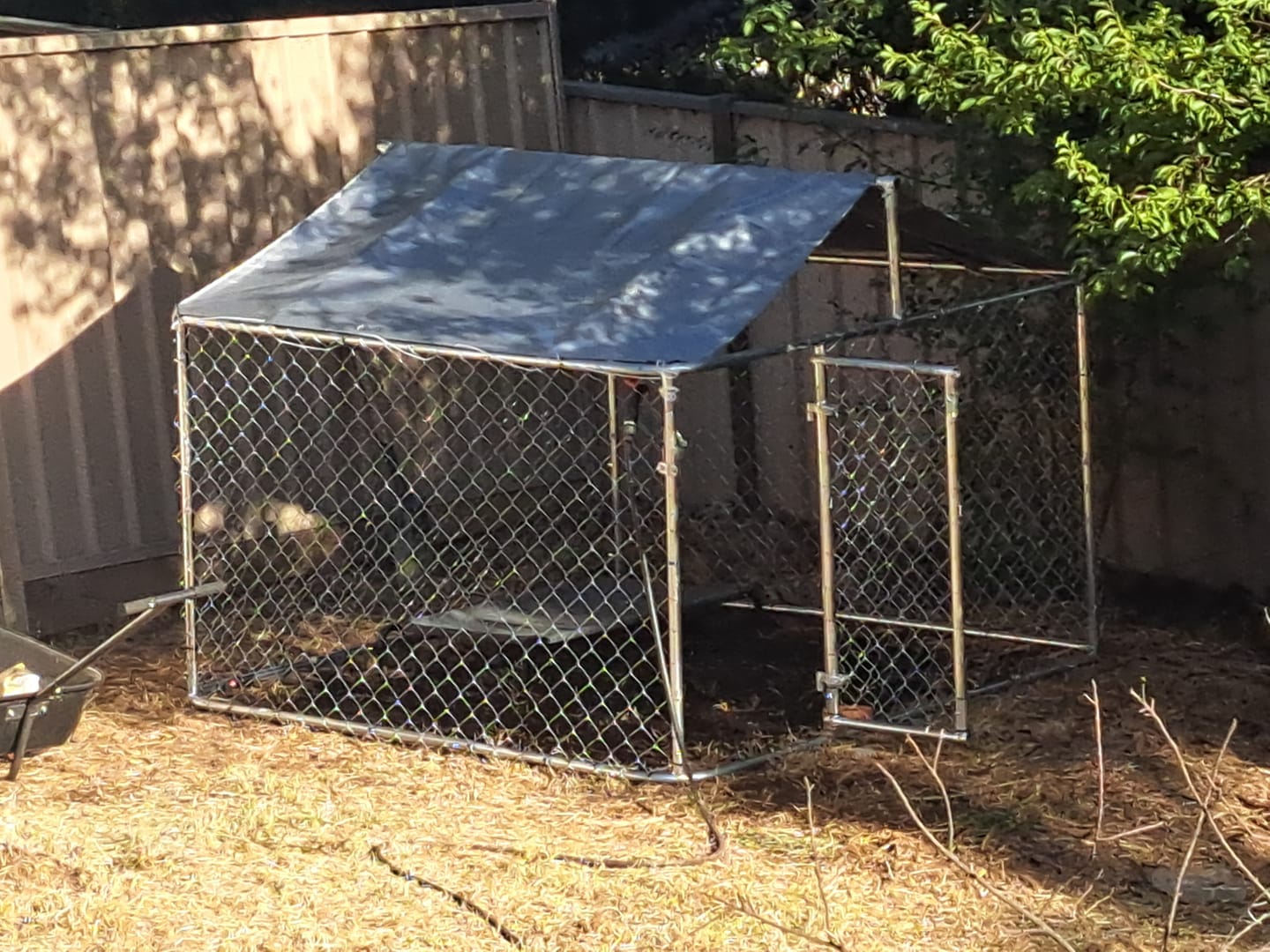 Customer photo review of Galvanised Dog Run with Roof  - Small 2x2x1.6m-With Cover